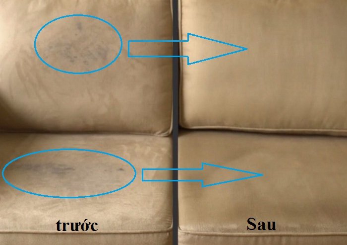 Hướng dẫn cách làm sạch sofa da bị nấm mốc